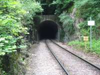 Entrance to Great Elm Tunnel on the branch to Whatley Quarries from the Frome-Radstock line, photographed in April 2008. The other two tunnels on this short branch are called 'Bedlam' and 'Murdercombe'! This tunnel replaced an earlier alignment.<br><br>[John Thorn 12/04/2008]