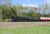 70000 <I>Britannia</I> with the 'Cathedrals Express' from London to Bristol via Salisbury and Westbury on 12 April 2012. The locomotive is running very well up a slight gradient near Avoncliff - with a very active chime whistle.<br><br>[Peter Todd 12/04/2012]