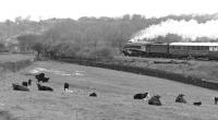 4498 <I>Sir Nigel Gresley</I> approaching Apperley Bridge Junction, east of Shipley en route to Carnforth on 30 April 1977. The train is an A4 Locomotive Society  circular railtour from Newcastle.<br><br>[Bill Jamieson 30/04/1977]