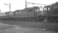 Class EM1 electric locomotives 26001, 26025 and 26043 awaiting their next call of duty in the shed sidings alongside Wath yard in October 1962.<br><br>[K A Gray 07/10/1962]
