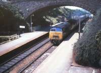 D1051 <I>Western Ambassador</I> arrives at Liskeard in the 1970s.<br><br>[Ian Dinmore //]