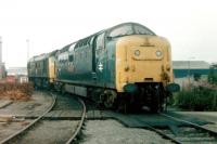 Deltic 55005 <I>'The Prince of Wales's own regiment of Yorkshire'</I> stands with 25006 on Haymarket shed in August 1980.<br><br>[Colin Alexander /08/1980]