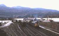 A Class 24 shunts Kyle of Lochalsh in Summer 1974.<br><br>[David Spaven //1974]