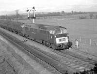 An unidentified 'Western' locomotive approaching Worle Junction from the Bristol direction in 1962. The train is signalled for the main line rather than the Weston-super-Mare loop.<br><br>[John Thorn //1962]