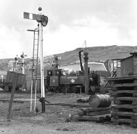 BR No. 7 <I>Owain Glyndwr</I> simmers outside the shed at Aberystwyth prior to working the 13.30 service to Devil's Bridge on Easter Monday 1975. There's just a glimmer of sunshine and no hint of the winter conditions prevailing at the top of the line.<br><br>[Bill Jamieson 28/03/1975]