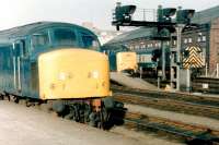 Scene at the south end of York station in the early 1980s with 'Peak' and 'Deltic' locomotives standing at the platforms.<br><br>[Colin Alexander /04/1981]