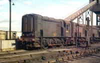 Lineup of diesel shunting locomotives on Polmadie shed in September 1959 with D3529 nearest the camera.<br><br>[A Snapper (Courtesy Bruce McCartney) 26/09/1959]