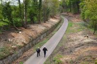 Trackbed of the Waverley route looking south from the A6106 bridge along the footpath towards Eskbank in May 2012 with tree clearance operations completed. [See image 50790]<br><br>[Bill Roberton 05/05/2012]