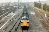 A class 37 with a coal train at the west end of Tyne Yard in September 1979.<br><br>[Colin Alexander /09/1979]