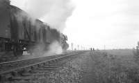 Gateshead A3 Pacific no 60085 <I>'Manna'</I> heads north with the final leg of the overnight 9.5pm Victoria Dock - Niddrie freight on 20 October 1962. The train is seen shortly after leaving Newcastle, between Cramlington and  Plessey in Northumberland.<br><br>[K A Gray 20/10/1962]