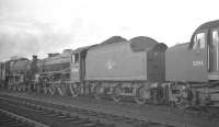 Lineup in the shed yard at Carlisle Kingmoor in October 1964 with Black 5 no 45364 the featured locomotive, sandwiched between a Jubilee and EE Type 4 no D294. <br><br>[K A Gray 17/10/1964]
