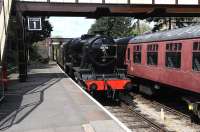 Repainted 'Turkish' 8F heading the service train from Winchcombe to Cheltenham Racecourse. It is now in LMS black and running as 8274.<br><br>[Peter Todd 06/05/2012]