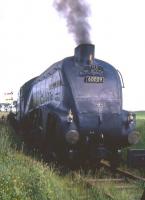 Scene on the Lochty Private Railway in August 1972. A4 60009 <I>'Union of South Africa'</I> stands at the end of the line in a field. She ran to these buffer stops and then reversed back to the terminus.<br><br>[Colin Miller /08/1972]