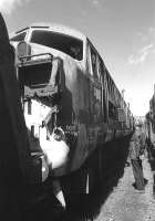 D601 <I>Ark Royal</I> awaits the end at Barry Scrapyard on 3 May 1976.<br><br>[Bill Roberton 03/05/1976]