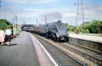 60012 <I>Commonwealth of Australia</I> takes a southbound express through Joppa in the summer of 1959.<br><br>[A Snapper (Courtesy Bruce McCartney) 11/07/1959]