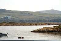 A train at the coal loaders at Hunterston High Level, as seen from Millport. <br><br>[Graham Morgan 04/07/2011]