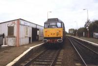 A Class 31 with a train at Millbrook on the Bletchley - Bedford line in September 1998. [The train has another 31 at the far end.] The station opened in 1846 as Marston, changed to Ampthill in 1847, then became Ampthill (Marston) in 1850. The name was modified once again in 1877 to Millbrook for Ampthill, before finally (?) settling on the current name of plain Millbrook in 1910.<br><br>[Ian Dinmore 16/09/1998]