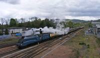 A4 Bittern approaching Perth with a railtour.<br><br>[John Robin 19/05/2012]