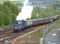 Blue LNER A4 no 4462 <I>Bittern</I> brings the 'Cathedrals Explorer' into Perth from the south on 19th May 2012.<br><br>[Brian Forbes 19/05/2012]