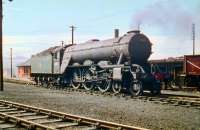 Gresley A3 no 60057, seen here at Haymarket MPD on 4 July 1959. The Pacific carried the name of the racehorse considered by many to be one of the greatest of all time, the undefeated triple-crown winner <I>Ormonde</I> (1883-1904).<br><br>[A Snapper (Courtesy Bruce McCartney) 04/07/1959]