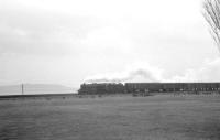 The daily pick-up goods on the Largs branch returning south on 30 March 1963. Photographed between Fairlie and West Kilbride behind one of Ardrossan shed's black 5s. [See image 36998] [With thanks to Colin Miller]<br><br>[R Sillitto/A Renfrew Collection (Courtesy Bruce McCartney) 30/03/1963]