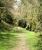 Part of the route of the Bryn Oer Tramway through the woods above the Crawnon Valley, Powys, in April 2004 [see image 38228].<br>
<br>
<br>
<br><br>[John Thorn 14/04/2004]