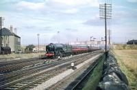 Haymarket A2 Pacific no 60536 <I>Trimbush</I> takes a Kings Cross - Aberdeen train west past Saughton Junction on 28 September 1959.<br><br>[A Snapper (Courtesy Bruce McCartney) 28/09/1959]