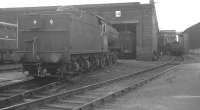 Part of the shed yard at 65A Eastfield. Photograph thought to have been taken around 1966.<br><br>[K A Gray //1966]