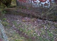 The Southern end of the platforms at Woodford Halse returning to nature in March 2012. Being very much a railway community the closure of the junction station, the yards and the large locomotive shed had a devastating effect at the time [see image 31459]. But that was over 40 years ago, and the town is now 'back in business' - unlike the GCR.<br><br>[Ken Strachan 28/03/2012]