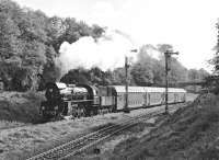 Mixed traffic 2-6-2 No. Ol49-23 heads north out of Wolsztyn on a crisp October morning in October 1990 with the 09.45 Leszno - Zbasznek train. The line in the foreground ran westwards to Sulechow and was relatively well frequented by passenger workings at the time, but these have long since ceased to run.<br><br>[Bill Jamieson 09/10/1990]