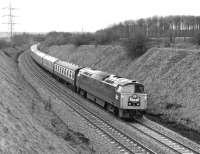 Having seen the 'Western Finale' pass through Normanton earlier on its northbound journey from Exeter [see image 38590], it was possible to intercept it again before it reached York as it ran via Leeds, wher e a brief stop was made, rather than on the direct route through Castleford.  The special, hauled by No. 1023 <I>Western Fusilier</I>, is seen here on 12 February 1977 in the deep cutting near Huddleston Grange between Micklefield and Church Fenton.<br><br>[Bill Jamieson 12/02/1977]