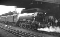 <h4><a href='/locations/Y/York'>York</a></h4><p><small><a href='/companies/Y/York_Station_North_Eastern_Railway'>York Station (North Eastern Railway)</a></small></p><p>4472 <I>Flying Scotsman</I> stands at York station on 2 May 1964 with the Gresley Society's 9 coach 'London North Eastern Flyer' which ran between Kings Cross and Darlington North Road. The trip included a visit to Darlington Locomotive Works. 7/132</p><p>02/05/1964<br><small><a href='/contributors/K_A_Gray'>K A Gray</a></small></p>