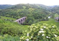 Looking west into Monsal Dale on 17 June 2012 with the former Midland Railway viaduct crossing the River Wye in the centre. To the left the railway entered Headstone Tunnel while in the middle distance it passed through Monsal Dale station before entering first Cressbrook and then Litton Tunnels. Today over 8 miles of the former railway trackbed (including 6 tunnels) have been converted into a footpath for walkers, cyclists and horse riders<br><br>[John McIntyre 17/06/2012]