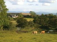 A rural idyll. View south from the B925, a little to the east of Crossgates, Fife, on a summer's day in 2012. The fence on the left marks the boundary of the Fordell Railway and in the distance is the spoil heap of Muir Dean opencast mine which has obliterated much of the old route.<br><br>[Bill Roberton 20/06/2012]