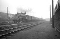 Gresley A4 Pacific no 60003 <I>Andrew K McCosh</I> runs west between Greensfield and King Edward Bridge Junction on 20 October 1962 with the 2.35pm Newcastle - York. The train has been routed via the High Level Bridge and is currently passing Gateshead MPD. Note the V3 over on the left near the main shed and the 'Peak' Type 4 diesel on the right in the higher level Chaytor's Bank sidings. <br><br>[K A Gray 20/10/1962]