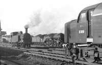 EE Type 4 D366 stands opposite Haymarket shed in this 1962 shot, with a J83 0-6-0T on the move (most likely No.68481, formerly the Waverley West pilot engine, and allocated to Haymarket at that time) and an A3 Pacific in the background.<br><br>[Frank Spaven Collection (Courtesy David Spaven) //1962]