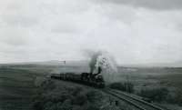 RCTS/SLS RAIL TOUR OF SCOTLAND 23rd June 1962<br>
123 and 49 south of Barrhill on the Ayr to Stranraer line.<br><br>[Jim Currie (Courtesy Stephenson Locomotive Society) 23/06/1962]