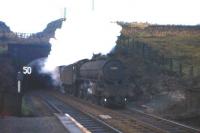 Dunfermline B1 No. 61407 bursts out of North Queensferry tunnel with a freight on 9 November 1963.<br><br>[Frank Spaven Collection (Courtesy David Spaven) 09/11/1963]