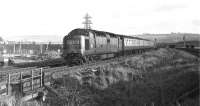 Deltic No. 9004 <i>Queen's Own Highlander</i> rounds the curve north of Monktonhall Junction with the down 'Flying Scotsman' in February 1970.<br><br>[Bill Jamieson 05/02/1970]