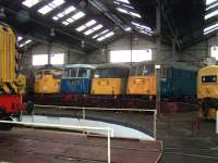 The scene around the turntable inside Barrow Hill Roundhouse on 1 July 2012. Line-up from left to right features D4092, 37057, 26007, E3035, 85006, 81002 and 37275.<br><br>[Colin Alexander 01/07/2012]