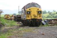 D6742 emerged from the Vulcan Foundry in June 1962 and was initially allocated to Darnall shed, Sheffield. Subsequently renumbered 37042 it was later acquired for preservation and arrived at the Eden Valley Railway Centre at Warcop in April 2011. The locomotive is seen here on 7 July 2012 standing in the PW yard to the south east of the station.  <br><br>[John Furnevel 07/07/2012]