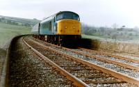 A 'Peak' class 45 takes a train over Smardale Viaduct in 1984. <br><br>[Colin Alexander //1984]