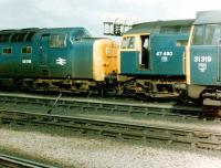 Lineup on York shed in September 1981 comprising Deltic 55018 <I>Ballymoss</I> together with 47480 and 31319.<br><br>[Colin Alexander 02/09/1981]