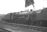 Jubilee 4-6-0 no 45571 <I>'South Africa'</I> photographed on Camden shed, probably around 1960. <br><br>[K A Gray //1960]