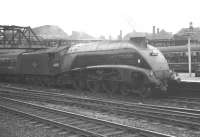 The 3.43pm Leeds Central - Kings Cross at Doncaster on 1 September 1962. The locomotive in charge is Gresley A4 Pacific no 60008 <I>Dwight D Eisenhower</I> of Kings Cross shed.<br><br>[K A Gray 01/09/1962]