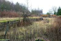The abandoned former goods yard at Pomathorn looking towards Peebles in December 2005. The station house stands in the centre background with the trackbed off to the left hidden by the undergrowth. Beyond the house is the site of the level crossing over the B6372. Pomathorn Mill is directly behind the camera.<br><br>[John Furnevel 11/12/2005]