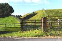 Remains of the level crossing and some sheep/cattle pens, immediately east of Romaldkirk Station in July 2012. The line from Barnard Castle to Middleton in Teesdale closed in 1964 and is now a very pretty walkway. [See image 17851]<br><br>[Brian Taylor 28/07/2012]