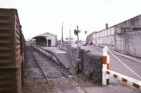 Passing over the level crossing at Tuam station, County Galway, in the summer of 1988.  <br><br>[Ian Dinmore /07/1988]