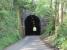 A narrow gauge tunnel with standard gauge dimensions. The L&MVR was quite advanced in its thinking as it conveyed standard gauge wagons on narrow gauge transporters so the tunnel at Butterton had to be large enough to accommodate them. Although most of the branch trackbed is now a footpath and cycleway a short stretch from Wetton to Butterton also carries light road traffic. This section includes the tunnel, viewed here from the southern end. Butterton Halt was just on the north side at which point the road veers away again leaving the <I>Manifold Valley Trail</I> to be followed to Hulme End.<br><br>[Mark Bartlett 24/05/2012]