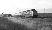 Deltic No. 9011 <I>The Royal Northumberland Fusiliers</I> approaches Monktonhall Junction not long after leaving Waverley station in February 1970 with the 16.00 hrs service to London Kings Cross. This once rural scene on the outskirts of Edinburgh has changed out of all recognition - the field on the right has long succumbed to housing while Queen Margaret University now stands on the left. <br>
<br><br>[Bill Jamieson 05/02/1970]